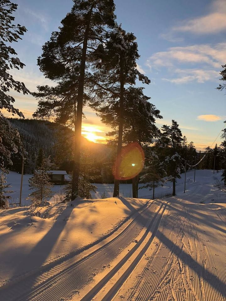 Fjellørnen Skifestival